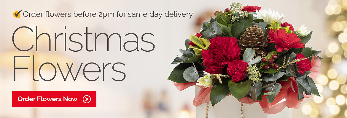 Flower delivery before christmas Clearance